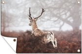 Tuindecoratie Hert - Mist - Planten - 60x40 cm - Tuinposter - Tuindoek - Buitenposter
