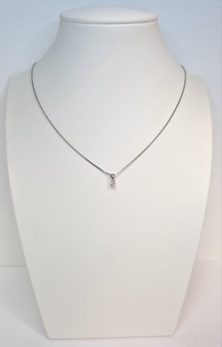 Hanger witgoud - 14 karaat – diamant - solitaire - uitverkoop juwelier Verlinden St. Hubert van €279,= voor €219,=