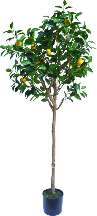 Greenmoods Kunstplanten - Kunstplanten - Kunst Citroenboom - Zijde - 180 cm