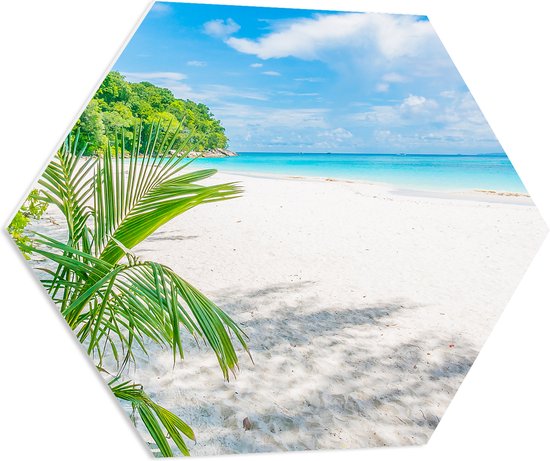 PVC Schuimplaat Hexagon - Palmbladeren Hangend boven Wit Strand bij Helderblauwe Zee - 70x60.9 cm Foto op Hexagon (Met Ophangsysteem)