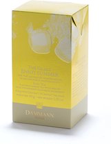 Dammann Frères - Iced tea Enjoy Summer 6 cristal zakjes - Groene thee - Volstaat voor 6 Liter ijsthee zonder suiker