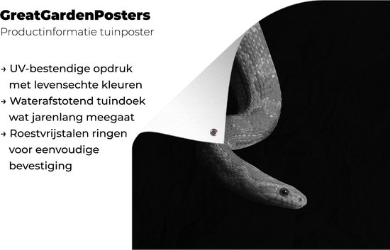 Toile de jardin Animaux - Serpent - Zwart - Wit - Portrait - 100x100 cm