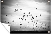 Muurdecoratie Dieren - Vogels - Wolken - Zwart - Wit - 180x120 cm - Tuinposter - Tuindoek - Buitenposter