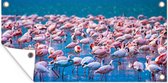 Schuttingposter Flamingo - Water - Tropisch - Water - Roze - 200x100 cm - Tuindoek
