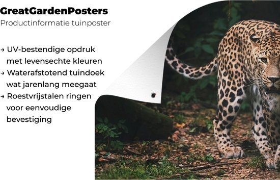 Affiche de jardin - Toile de jardin - Posters de jardin extérieur - Animaux sauvages - Léopard - Jungle - Nature - 120x80 cm - Jardin