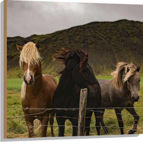 WallClassics - Hout - Drietal Paarden in Verschillende Kleuren - 80x80 cm - 9 mm dik - Foto op Hout (Met Ophangsysteem)