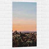 WallClassics - Muursticker - Cylindropuntia Fulgida Plantjes voor Berglandschap met Oranje Lucht - 50x100 cm Foto op Muursticker