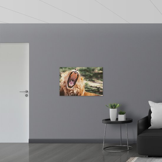 WallClassics - Plaque de Mousse PVC - Lion Dangereux avec la Bouche Ouverte - 90x60 cm Photo sur Plaque de Mousse PVC