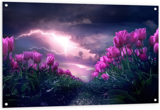 Foto: Wallclassics tuinposter donder en bliksem boven paars tulpenveld 120x80 cm foto op tuinposter wanddecoratie voor buiten en binnen 