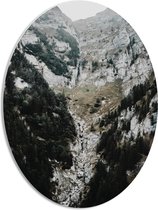 WallClassics - Panneau de mousse PVC ovale - Wit avec Berg grise avec Arbres - 42x56 cm Photo sur ovale (avec système de suspension)