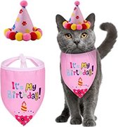 Poezen verjaardagset 2-delig It's my Birthday roze met feestmuts en bandana - kat - poezen - poes - verjaardag - bandana