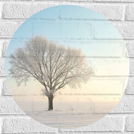 Muursticker Cirkel - Enkele Boom in de Winter met Bevroren Takken en Besneeuwde Omgeving - 50x50 cm Foto op Muursticker