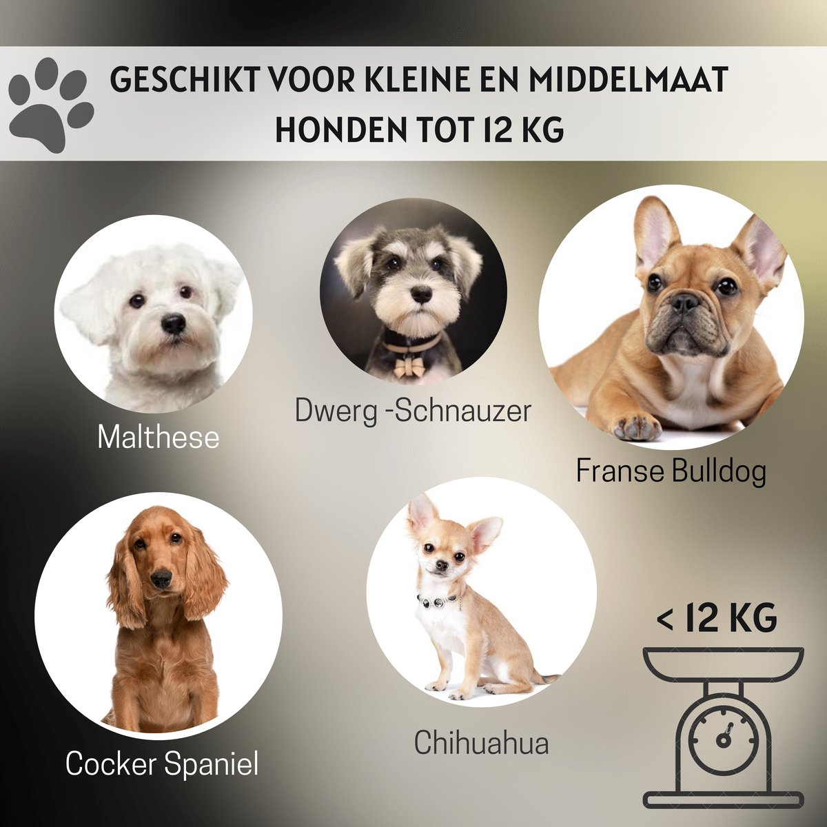 Autostoel Hond - Hondenmand Auto - Hondenstoel Auto - Zwart met Wit - 45cm x 45cm – foto 2