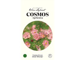 Cosmos Apricotta - Zaaigoed Wim Lybaert - Abrikooskleurige cosmos aanbevolen door Wim Lybaert