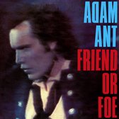 Friend or Foe (LP)