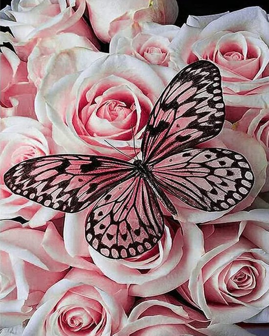 Belle Vous Set van 3 canvas om te schilderen, 60 x 60 cm, voorgespannen op houten frame, geschikt voor acrylschilderen, olie, tekenen en schetsen