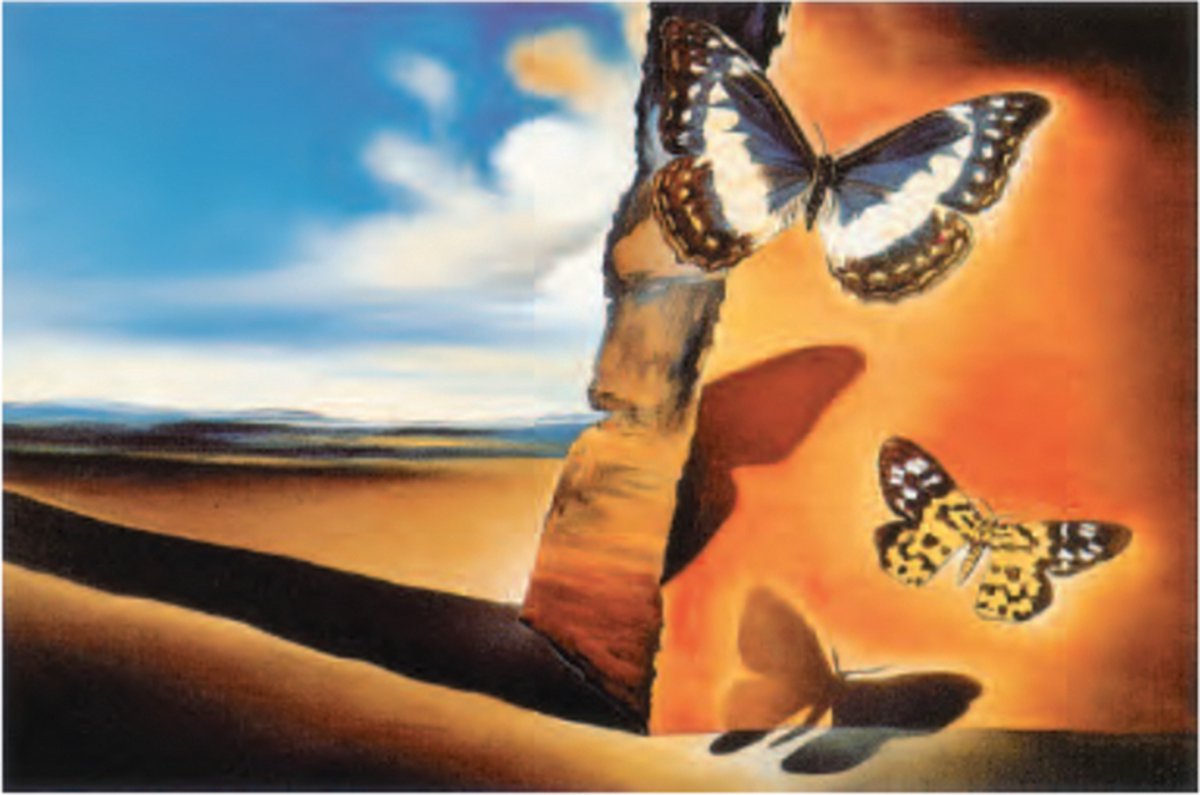 Catch Projecten Salvador Dalì - Paysage au papillons - Kunstposter - 60x80 cm Multicolor