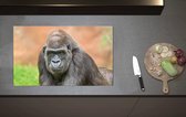 Inductieplaat Beschermer - Westelijke Laagland Gorilla van Dichtbij - 80x52 cm - 2 mm Dik - Inductie Beschermer van Vinyl