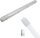 Luminaire LED TL avec tube T8 Incl. Démarreur - Igia Hari - 120cm Simple - 16W - Transparent / Wit Froid 6400K - Etanche IP65