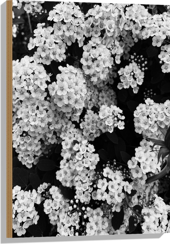 Hout - Dicht Begroeide Bloemen Struik (Zwart- wit) - 50x75 cm - 9 mm dik - Foto op Hout (Met Ophangsysteem)