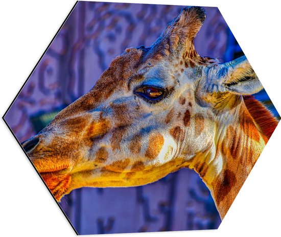 WallClassics - Dibond Hexagon - Zijaanzicht van Etende Giraffe - 60x52.2 cm Foto op Hexagon (Met Ophangsysteem)