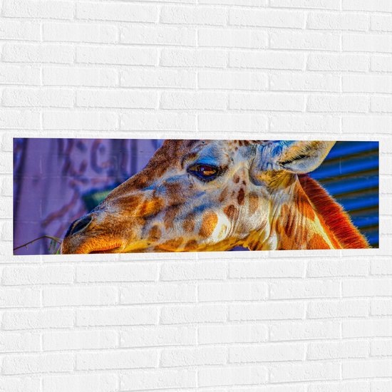 WallClassics - Muursticker - Zijaanzicht van Etende Giraffe - 120x40 cm Foto op Muursticker