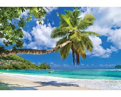 Fotobehang - Tropisch Strand met Palmboom aan Zee - Caribische Zee - Caribbean Beach - Strand - Zon - Paradijs - Vliesbehang - 312 x 219 cm