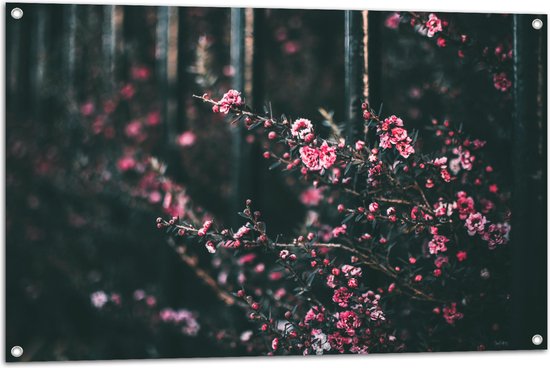 Tuinposter – Roze Bloemenstruik in Donker Kleurig Bos - 105x70 cm Foto op Tuinposter (wanddecoratie voor buiten en binnen)