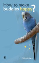 How To Make Budgies Happy?