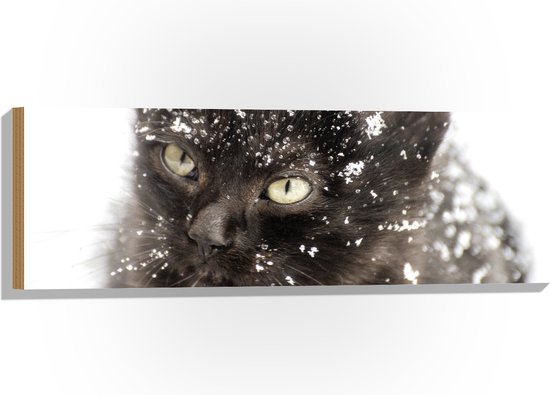 WallClassics - Hout - Zwarte Kitten in de Sneeuw - 90x30 cm - 9 mm dik - Foto op Hout (Met Ophangsysteem)