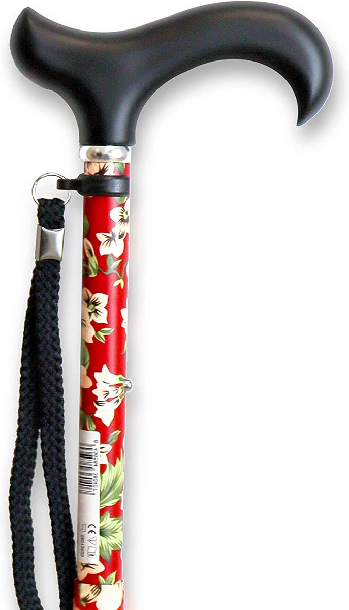 Sac De Transport - Bâtons De Marche Nordique