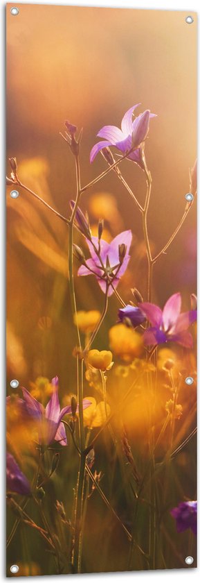 Tuinposter – Paarse en Gele Bloemetjes in het Landschap - 50x150 cm Foto op Tuinposter (wanddecoratie voor buiten en binnen)