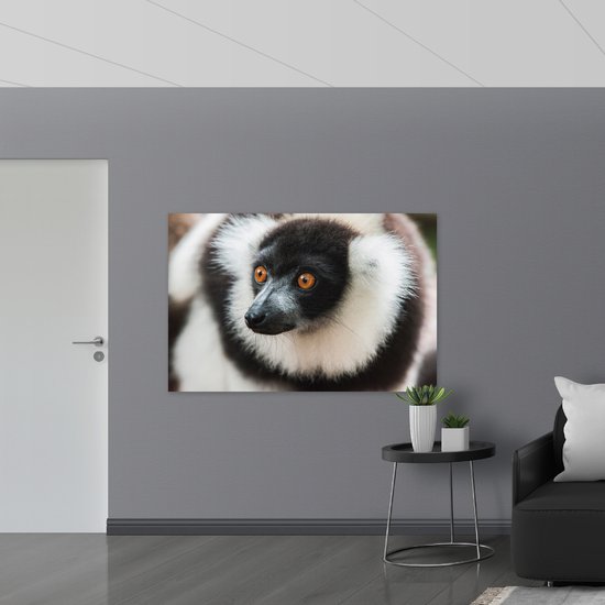 WallClassics - Plaque de Mousse PVC - Singe Vari aux Yeux Marrons de Près - 150x100 cm Photo sur Plaque de Mousse PVC