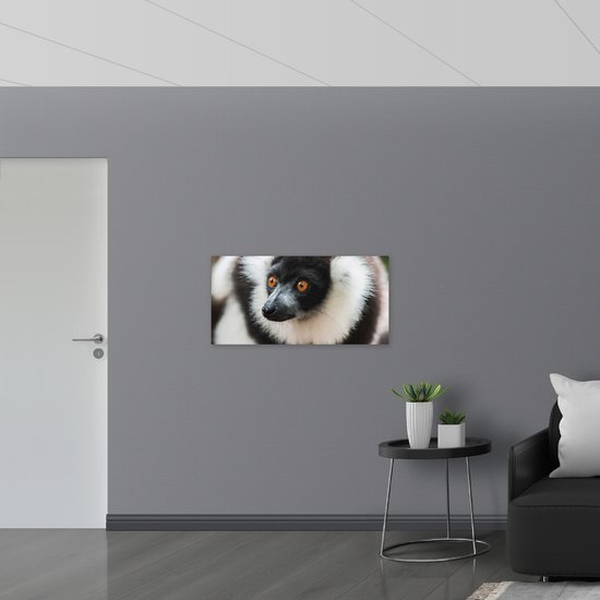 WallClassics - Plaque de Mousse PVC - Singe Vari aux Yeux Marrons Gros Plan - Photo 100x50 cm sur Plaque de Mousse PVC (Avec Système d'accrochage)