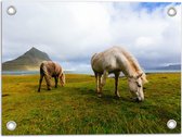 WallClassics - Tuinposter – Paarden op het Gras met Berg in de Achtergrond - 40x30 cm Foto op Tuinposter (wanddecoratie voor buiten en binnen)