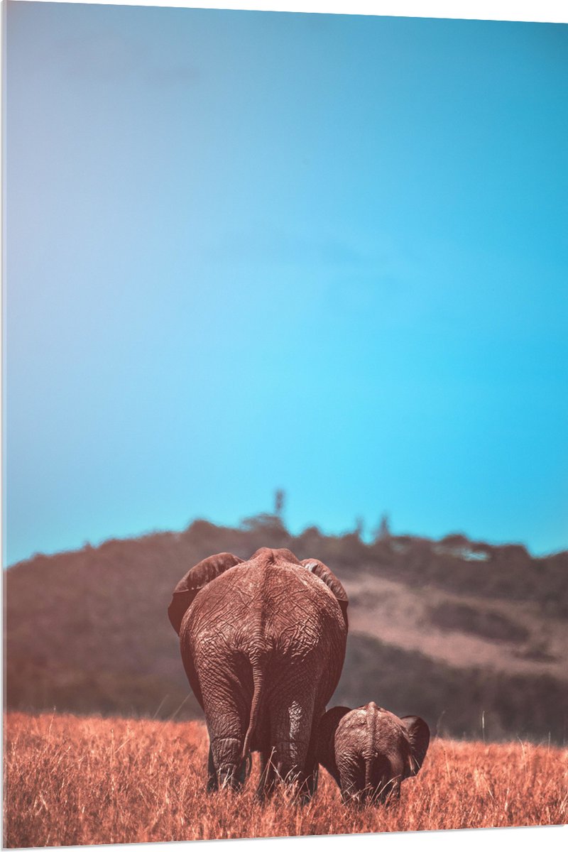 Acrylglas - Moeder en Baby Olifant tussen het Hoge Gras - 80x120 cm Foto op Acrylglas (Met Ophangsysteem)