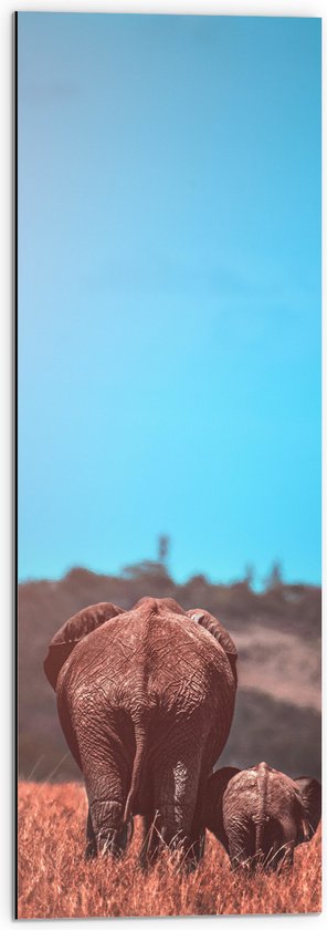 WallClassics - Dibond - Moeder en Baby Olifant tussen het Hoge Gras - 30x90 cm Foto op Aluminium (Met Ophangsysteem)