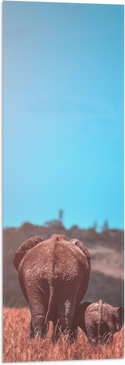 Vlag - Moeder en Baby Olifant tussen het Hoge Gras - 30x90 cm Foto op Polyester Vlag