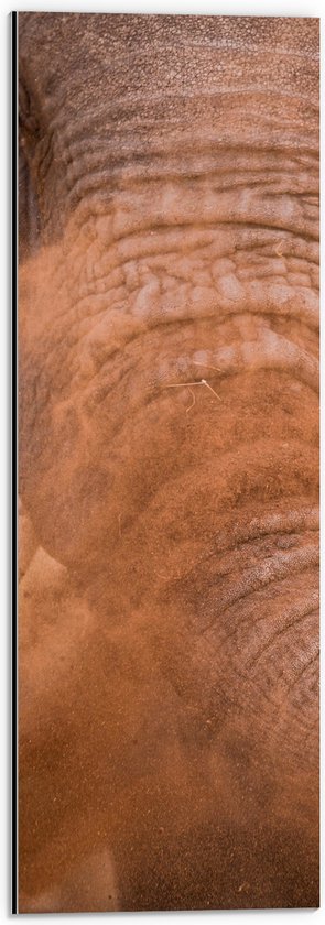 WallClassics - Dibond - Olifant met Zand over Slurf - 20x60 cm Foto op Aluminium (Met Ophangsysteem)