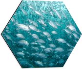 WallClassics - Dibond Hexagon - School Vissen onderwater - 40x34.8 cm Foto op Hexagon (Met Ophangsysteem)