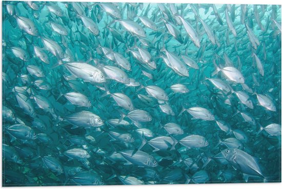 WallClassics - Vlag - School Vissen onderwater - 60x40 cm Foto op Polyester Vlag