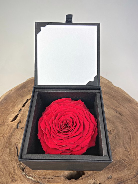 Longlife Rose 'rouge' dans une boîte cadeau | Rose éternelle | bol