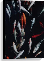 WallClassics - Canvas - Koi Karper Vissen - 40x60 cm Foto op Canvas Schilderij (Wanddecoratie op Canvas)