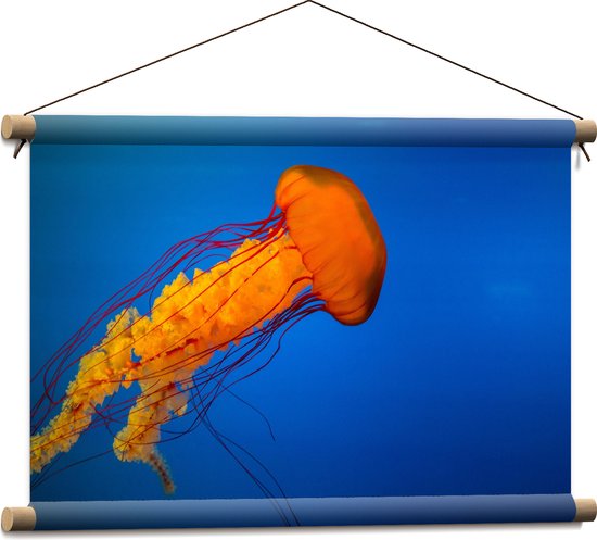 WallClassics - Textielposter - Oranje Kwal Zwemmend in Donker Blauwe Oceaan - 60x40 cm Foto op Textiel