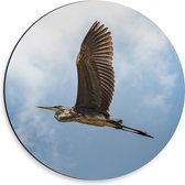 WallClassics - Dibond Muurcirkel - Vliegende Reiger door de Lucht met Grote Vleugels - 30x30 cm Foto op Aluminium Muurcirkel (met ophangsysteem)