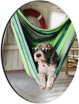 WallClassics - Dibond Ovaal - Liggende Hond in Hangmat met Zonnebril - 21x28 cm Foto op Ovaal (Met Ophangsysteem)