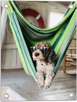 WallClassics - Tuinposter – Liggende Hond in Hangmat met Zonnebril - 30x40 cm Foto op Tuinposter (wanddecoratie voor buiten en binnen)