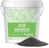 Mycorrhiza Mix Gazon 500Gr - FungiLife Endomycorrhiza