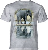 T-shirt Reflections of Elephant KIDS KIDS L