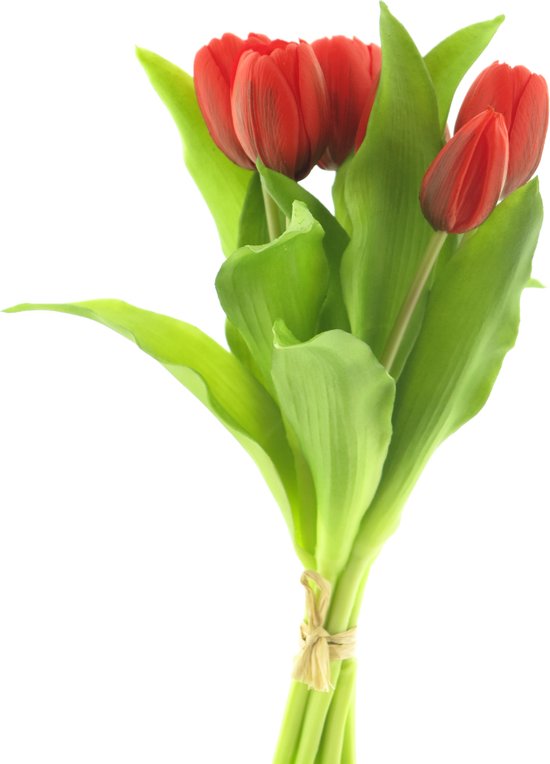 PSO van Gogh tulip bundle sally red 30cmNova Nature